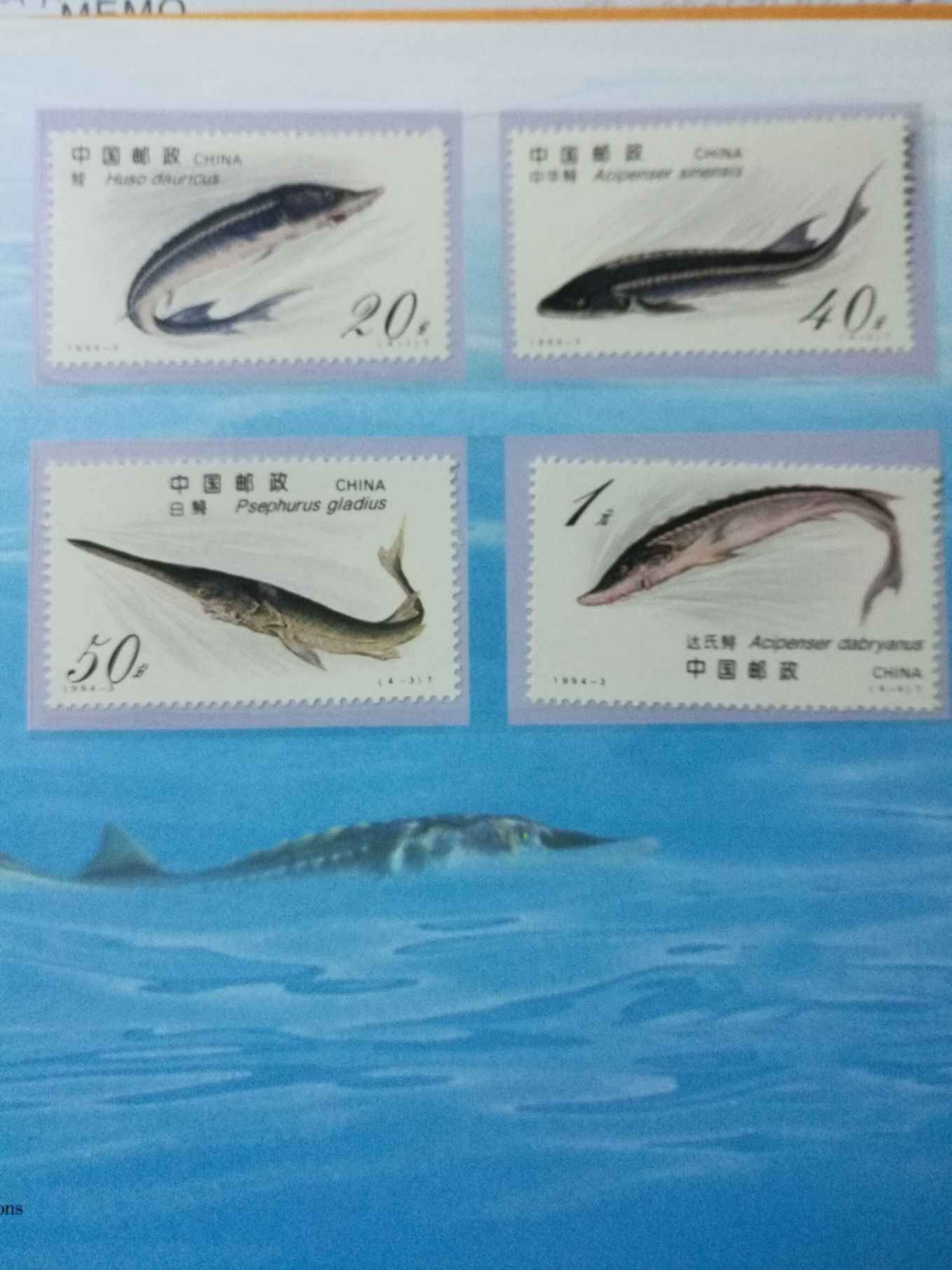 QQ图片20190305215430