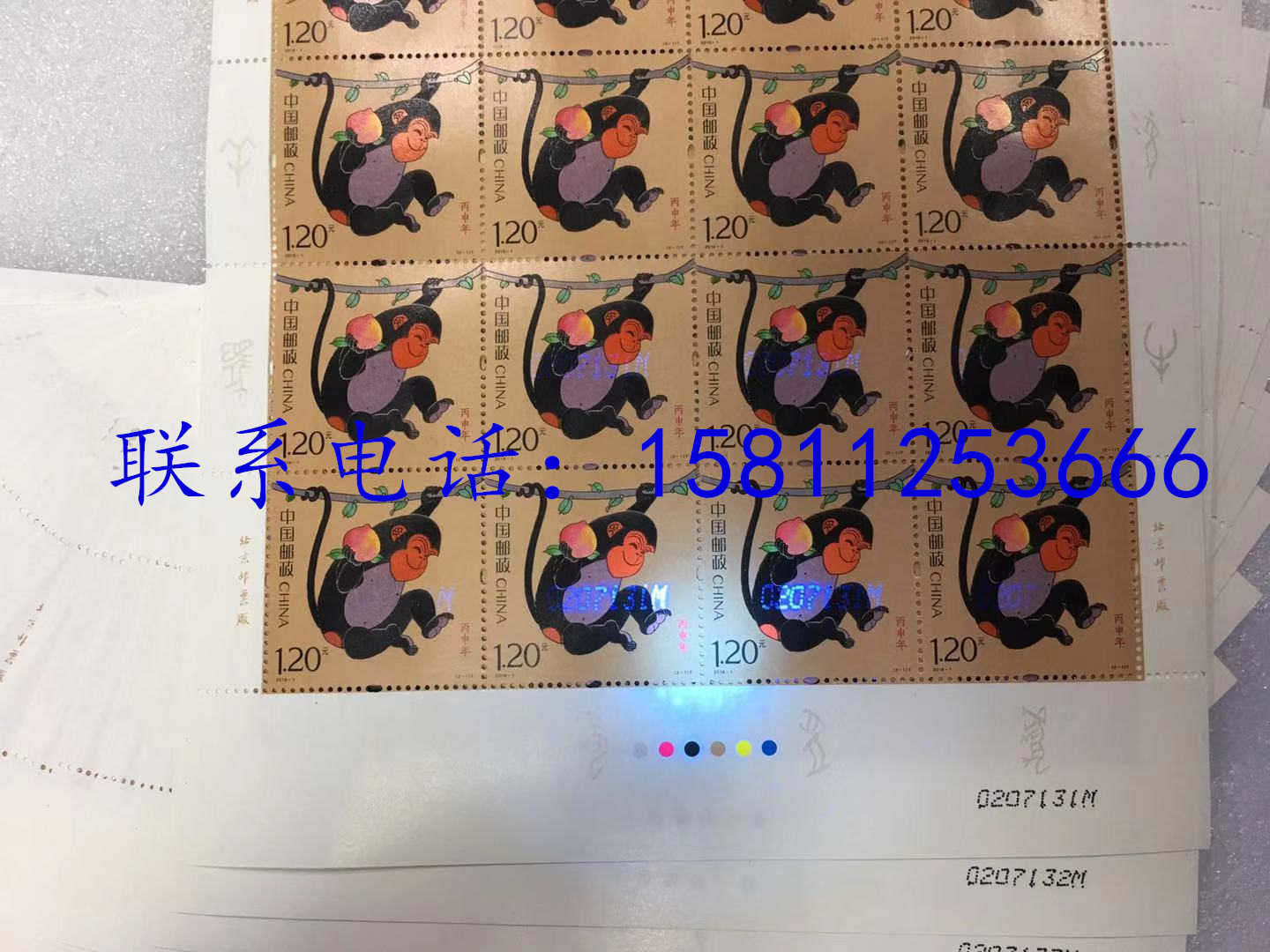 20191108263468647