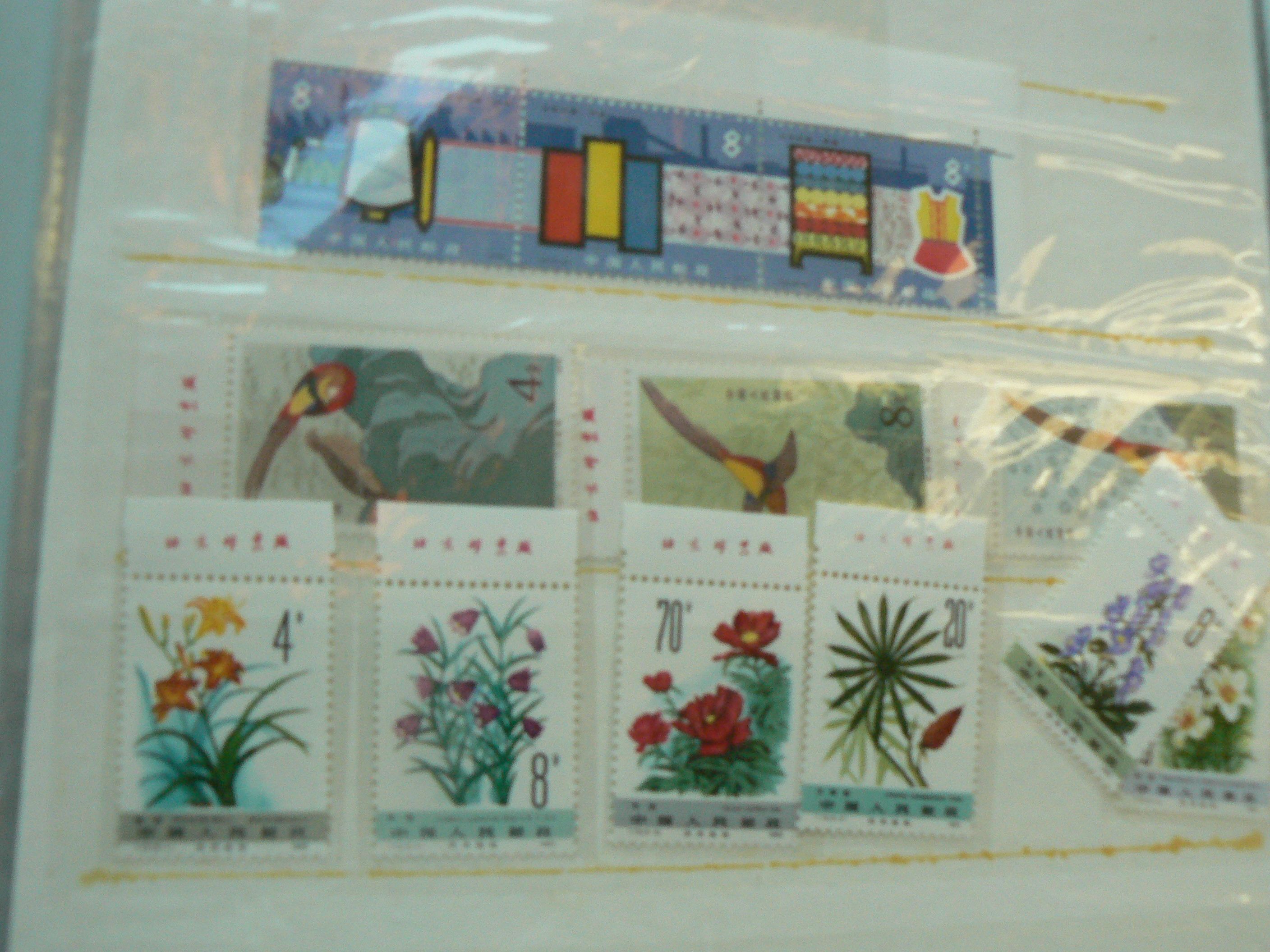 P1020264
