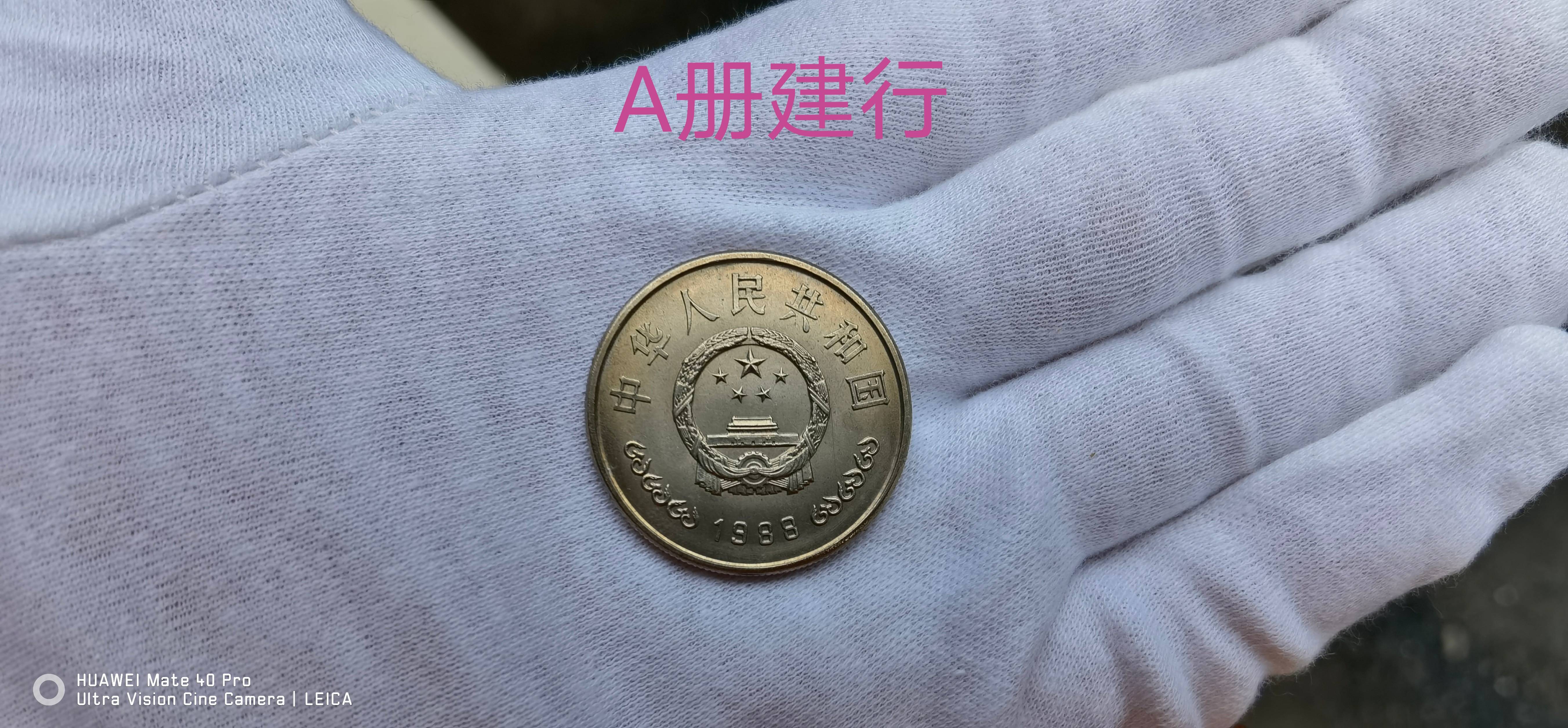 ͼƬ´ڴ򿪲鿴
