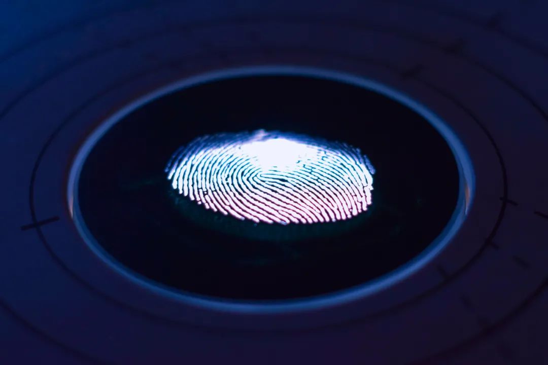 210821113548352